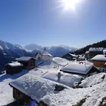 Huwetz 2- Og Sued By Interhome Lejlighed Bettmeralp